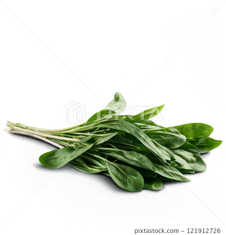 Freshly harvested green leafy vegetables tied in a bundle against a white background 121912726