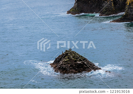 Cliffs on the coast of Arnarstapi on the island of Iceland 121913016