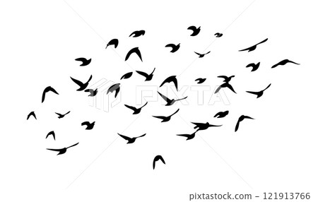 Flying birds silhouette flock. hand drawing. Not AI. Vector illustration Flying birds silhouette flock. hand drawing. Not AI. Vector illustration 121913766