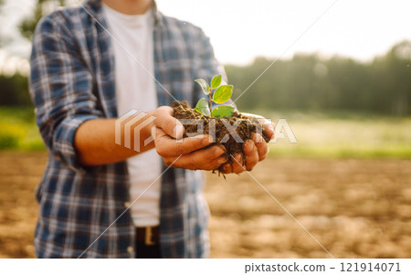 Man in a shirt holds a green plant in his hands. Caring for the environment. Man in a shirt holds a green plant in his hands. Caring for the environment. 121914071