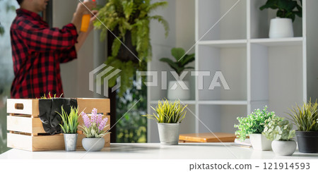 Plant Care Specialist Spraying Indoor Plants for Maintenance 121914593