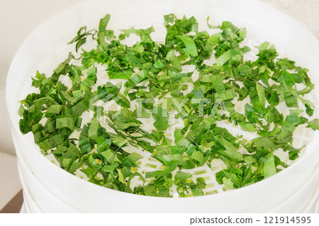 Process of drying parsley leaves in a kitchen appliance. Parsley in a dryer. Preparing dried food at home. Process of drying parsley leaves in a kitchen appliance. Parsley in a dryer. Preparing dried food at home. 121914595