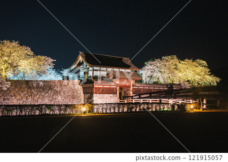 Cherry blossoms at night at Matsushiro Castle ruins [Nagano City] 121915057