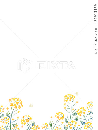 油菜花和蝴蝶框架垂直水彩觸摸 油菜花和蝴蝶框架垂直水彩觸摸 121915589