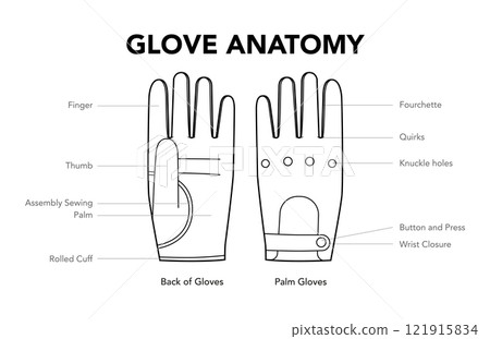 Gloves Anatomy diagram with name parts text Fashion hand accessory clothing technical illustration garment. Vector for 121915834