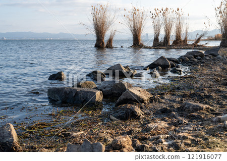 Sakamoto Castle: Stone walls submerged in Lake Biwa Sakamoto Castle: Stone walls submerged in Lake Biwa 121916077