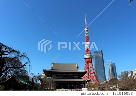Zojoji Temple and Tokyo Tower under the blue sky, Tokyo 121916098