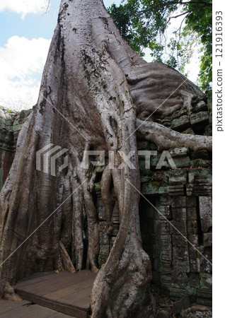 吳哥窟舞會 吳哥窟舞會 121916393