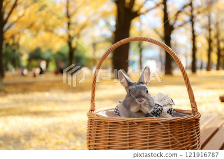 Ginkgo carpet and rabbit 121916787