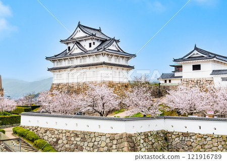 櫻花盛開的廣島福山城、伏見櫓(從福山站出發) 櫻花盛開的廣島福山城、伏見櫓(從福山站出發) 121916789