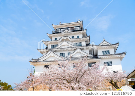 Hiroshima: Fukuyama Castle tower with cherry blossoms in full bloom 121916790