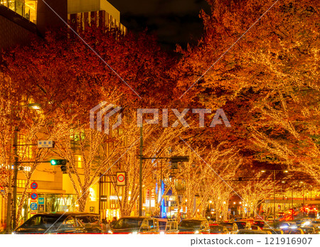 Tokyo Omotesando Christmas Illuminations 2024 Tokyo Omotesando Christmas Illuminations 2024 121916907