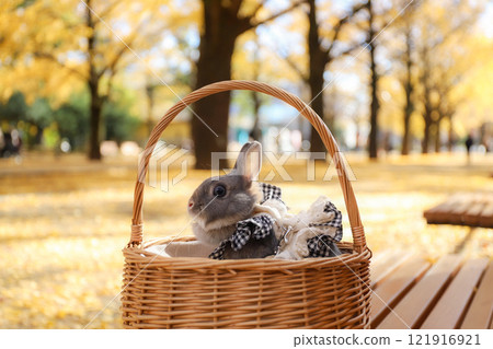 Ginkgo carpet and rabbit 121916921