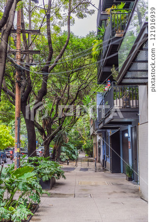 Lush green street in the Condesa neighborhood, Mexico City. Urban oasis with vibrant vegetation, offering tranquility and charm in the heart of a bustling metropolis. Nature and city harmony concept 121916939