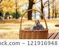 Ginkgo carpet and rabbit 121916948