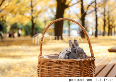 Ginkgo carpet and rabbit Ginkgo carpet and rabbit 121916948