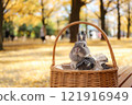 Ginkgo carpet and rabbit 121916949