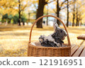 Ginkgo carpet and rabbit 121916951