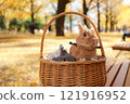 Ginkgo carpet and rabbit 121916952