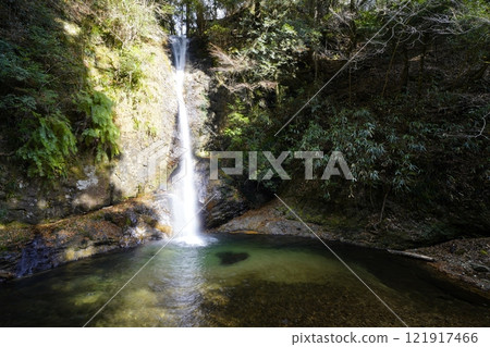 A waterfall in the forest Toishi Falls, Higashiyoshino Village, Nara Prefecture A waterfall in the forest Toishi Falls, Higashiyoshino Village, Nara Prefecture 121917466