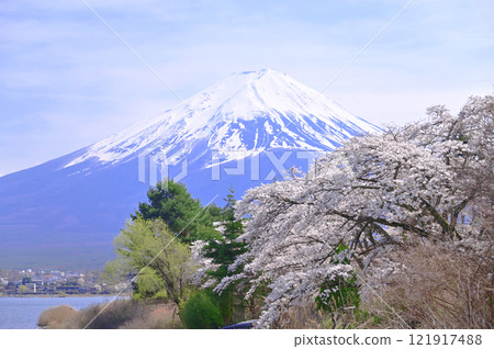 富士和櫻花 121917488