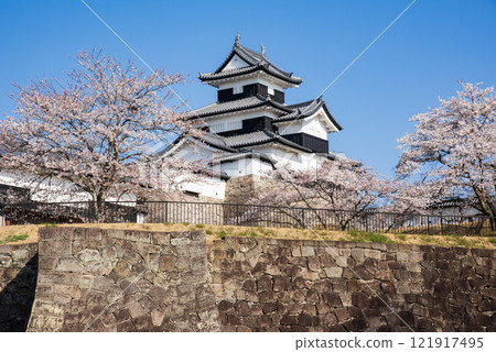 Komine Castle with cherry blossoms in full bloom 121917495