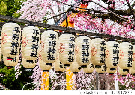 有櫻花的平野神社在京都 121917879