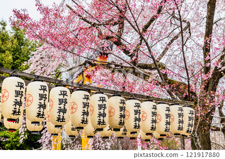 有櫻花的平野神社在京都 有櫻花的平野神社在京都 121917880
