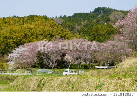石舞台鳥佐倉 121918025