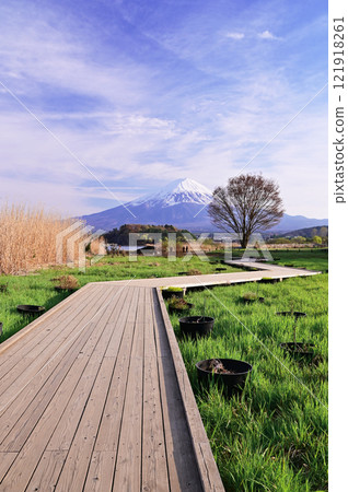 Landscape Fuji 121918261