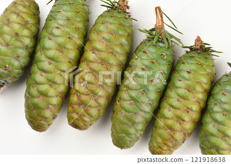 Studio shot of pine cones close-up Studio shot of pine cones close-up 121918638