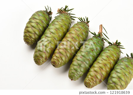 Studio shot of pine cones close-up Studio shot of pine cones close-up 121918639