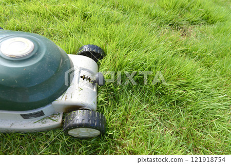 Garden lawn (lawnmower) 09 121918754