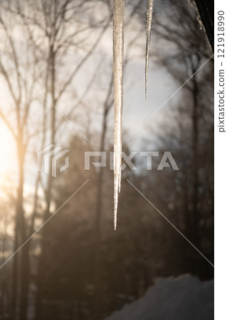 Frost on a cold winter morning Frost on a cold winter morning 121918990