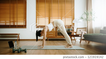 Young Asian woman in sportswear doing plank on training mat Young Asian woman in sportswear doing plank on training mat 121919142