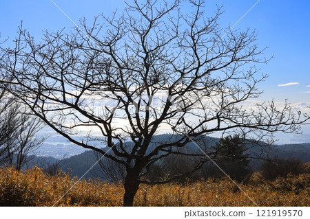 從東大福山、六甲山眺望的壯麗景色 121919570