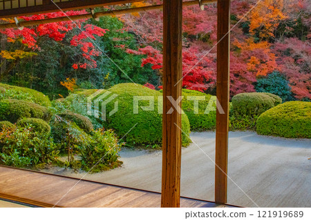 【京都風景】秋日陽光下染紅的紫仙堂庭園 121919689