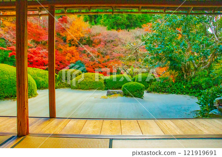 【京都風景】秋日陽光下染紅的紫仙堂庭園 121919691
