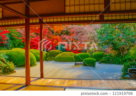 [Kyoto Scenery] Shisendo Temple: A garden dyed red by the autumn sun 121919706