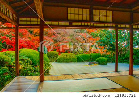 【京都風景】秋日陽光下染紅的紫仙堂庭園 121919721
