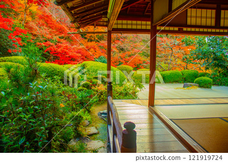 [Kyoto Scenery] Shisendo Temple: A garden dyed red by the autumn sun 121919724