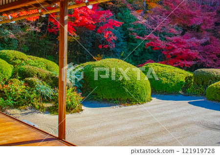 [Kyoto Scenery] Shisendo Temple: A garden dyed red by the autumn sun 121919728