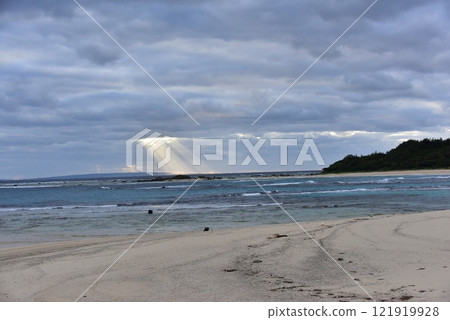 Seashore Seashore 121919928