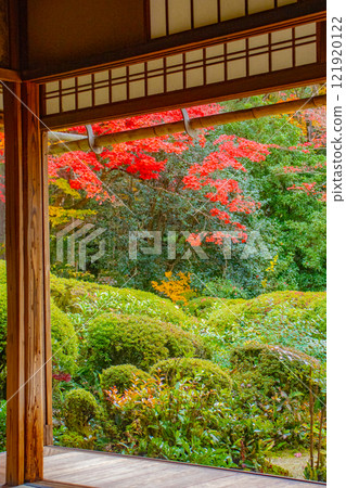 [Kyoto Scenery] Shisendo Temple: A garden dyed red by the autumn sun 121920122