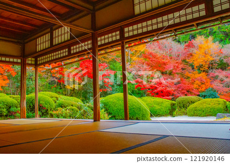 [Kyoto Scenery] Shisendo Temple: A garden dyed red by the autumn sun 121920146