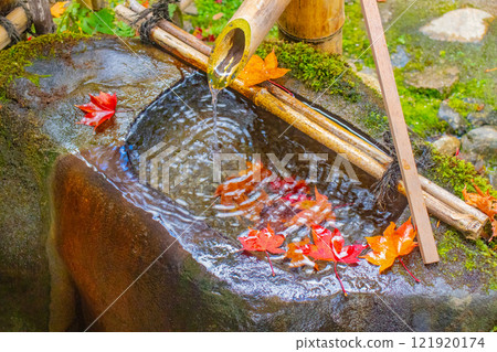 [Kyoto Scenery] Shisendo Temple: A garden dyed red by the autumn sun 121920174