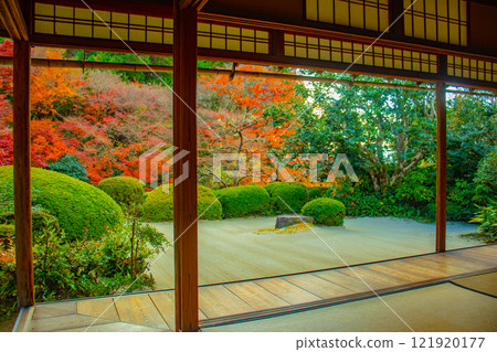 [Kyoto Scenery] Shisendo Temple: A garden dyed red by the autumn sun 121920177