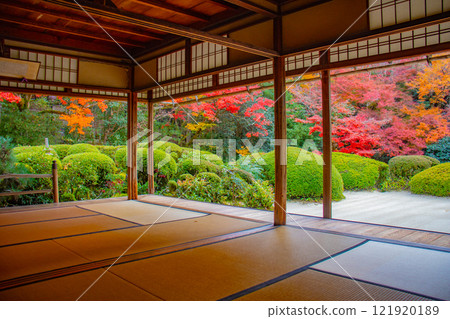 [Kyoto Scenery] Shisendo Temple: A garden dyed red by the autumn sun 121920189
