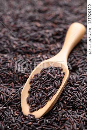 Organic rice berry or purple rice in wooden scoop, Thai rice Organic rice berry or purple rice in wooden scoop, Thai rice 121920300