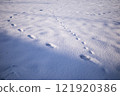 Snow-covered ground and footprints 121920386